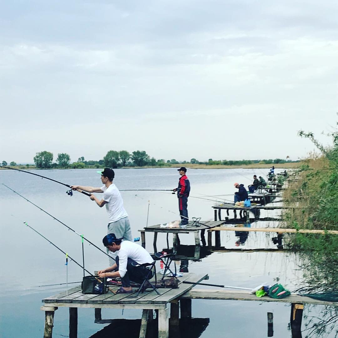 Фото из интернета. 