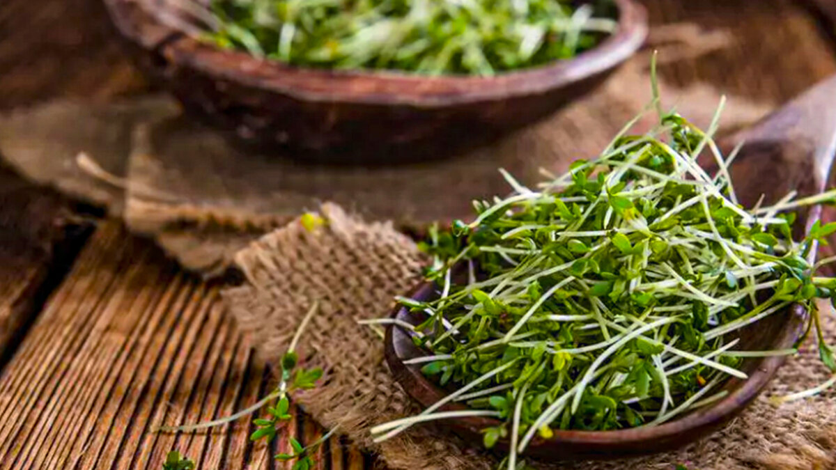 Кресс-салат