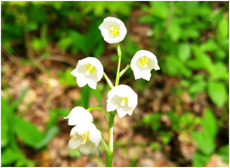 Ставьте лайки и подписывайтесь на мой канал