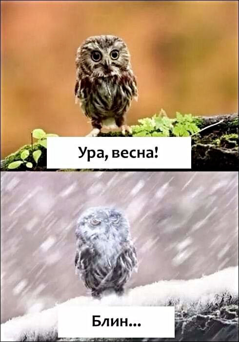 Источник изображения - Pinterest