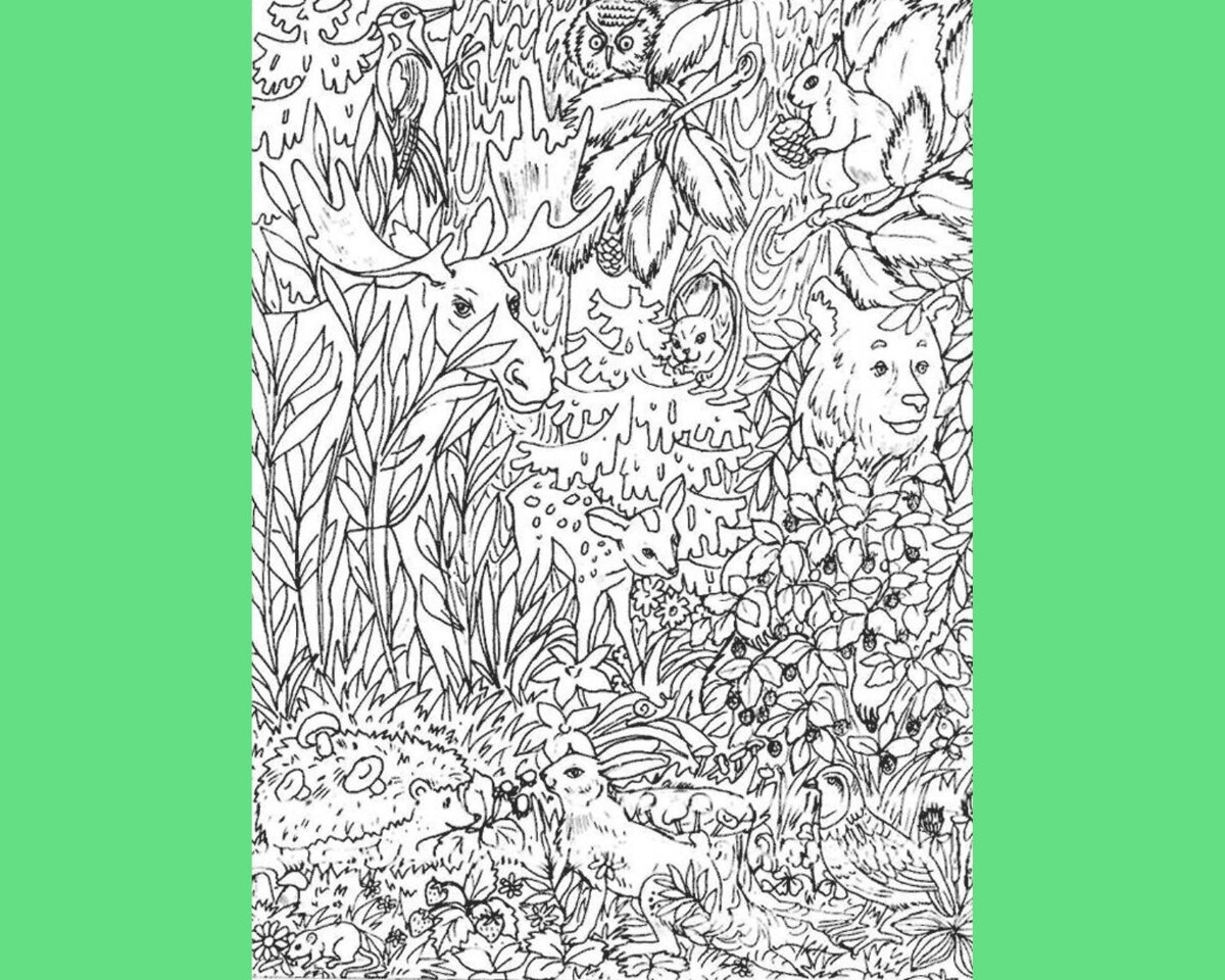 картинка взята с сайта infourok.ru