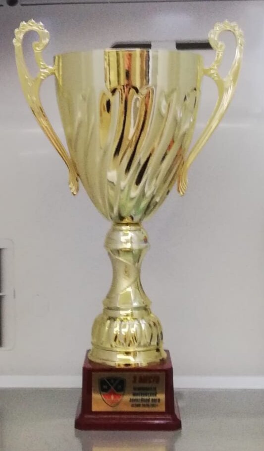 Последний кубок (бронза), что заработала наша команда.