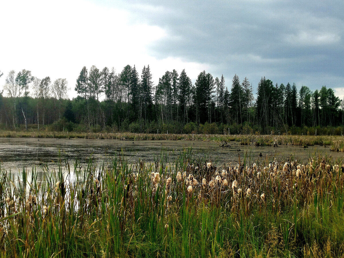 Озеро в селе Луково. Красноярский край 