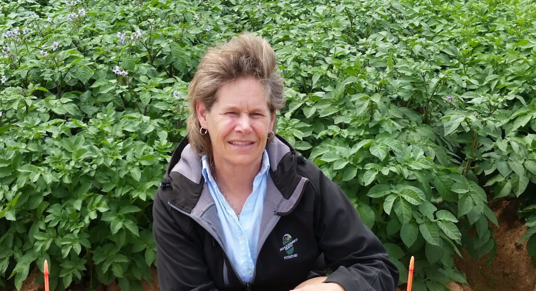 Мэри Кей Соньер перед испытательным участком сорта картофеля в 2019 году. Фото: Мэри Кэри Соньер