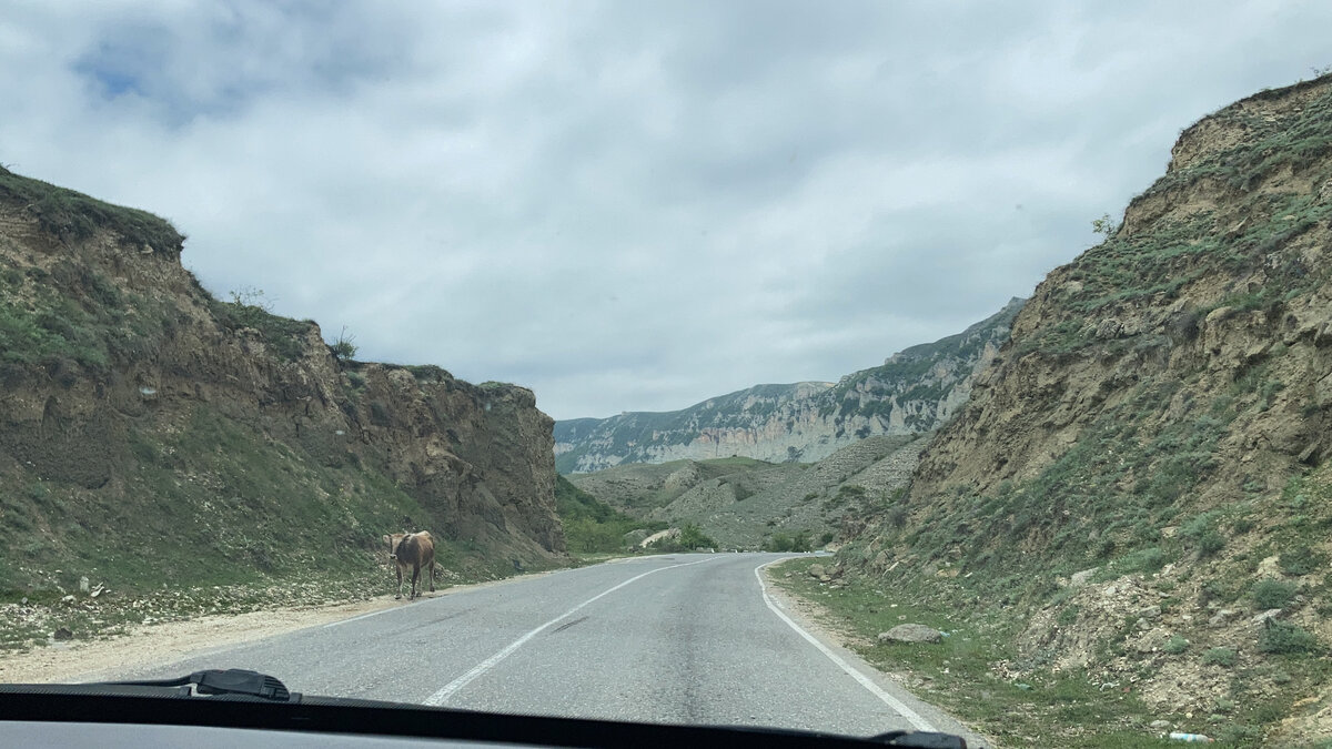 Дорога в горный Дагестан