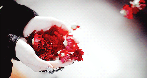 Чтобы безусловно любить мир и делиться с ним, вы сначала должны принять, полюбить и одарить самого себя. Только открывшись своему собственному свету и доверившись ему, вы сможете найти ту чистую любовь и принятие себя, которые будете излучать другим. Вы не ограничиваетесь тем физическим созданием, которое видите в зеркале. Материальная форма является лишь выражением вашей души.