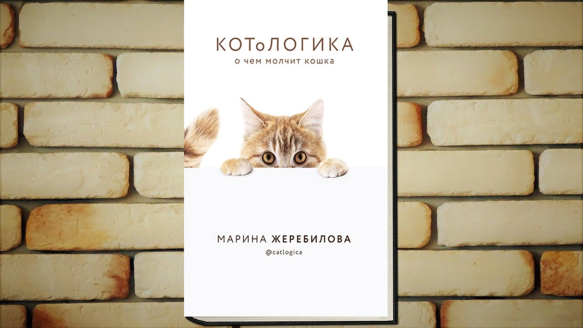 😺Интересные книги и фильмы про кошек | Нос, хвост, лапы | Дзен