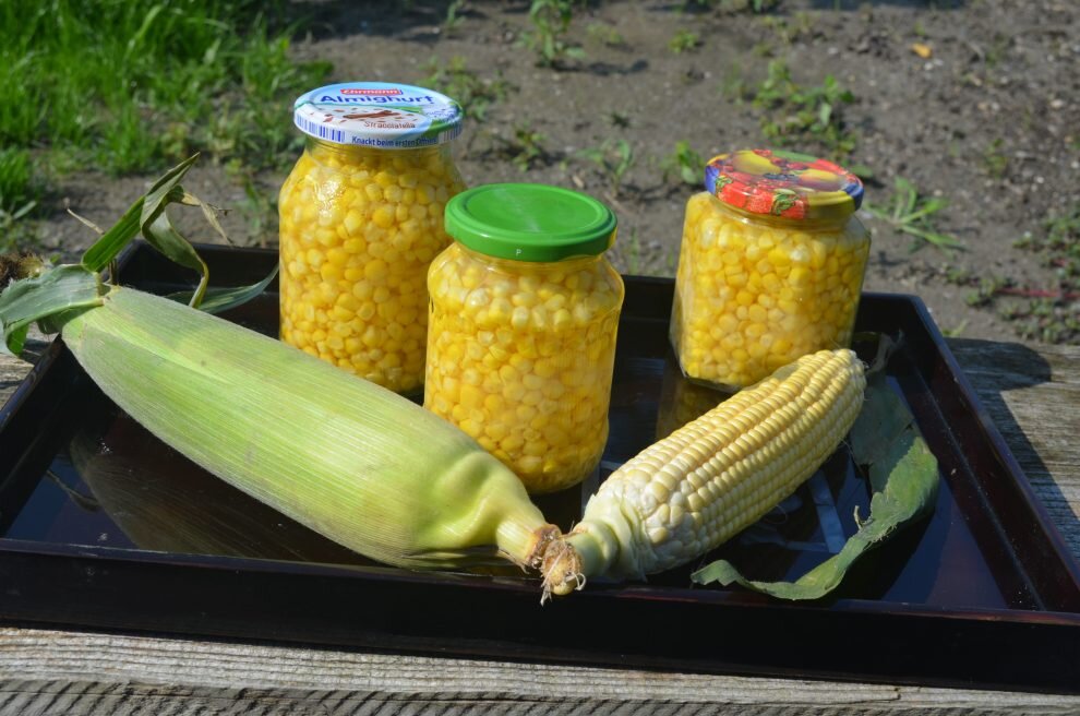 Кукуруза консервированная
