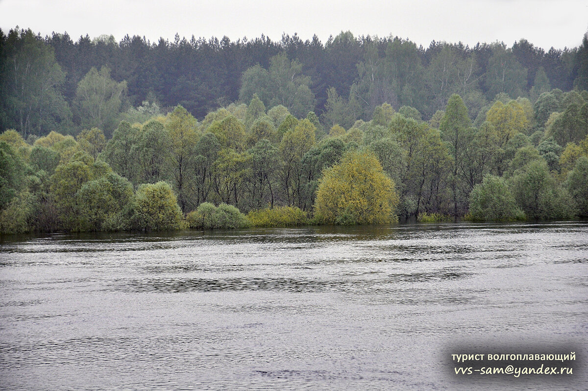 Фото 13.05.2013.