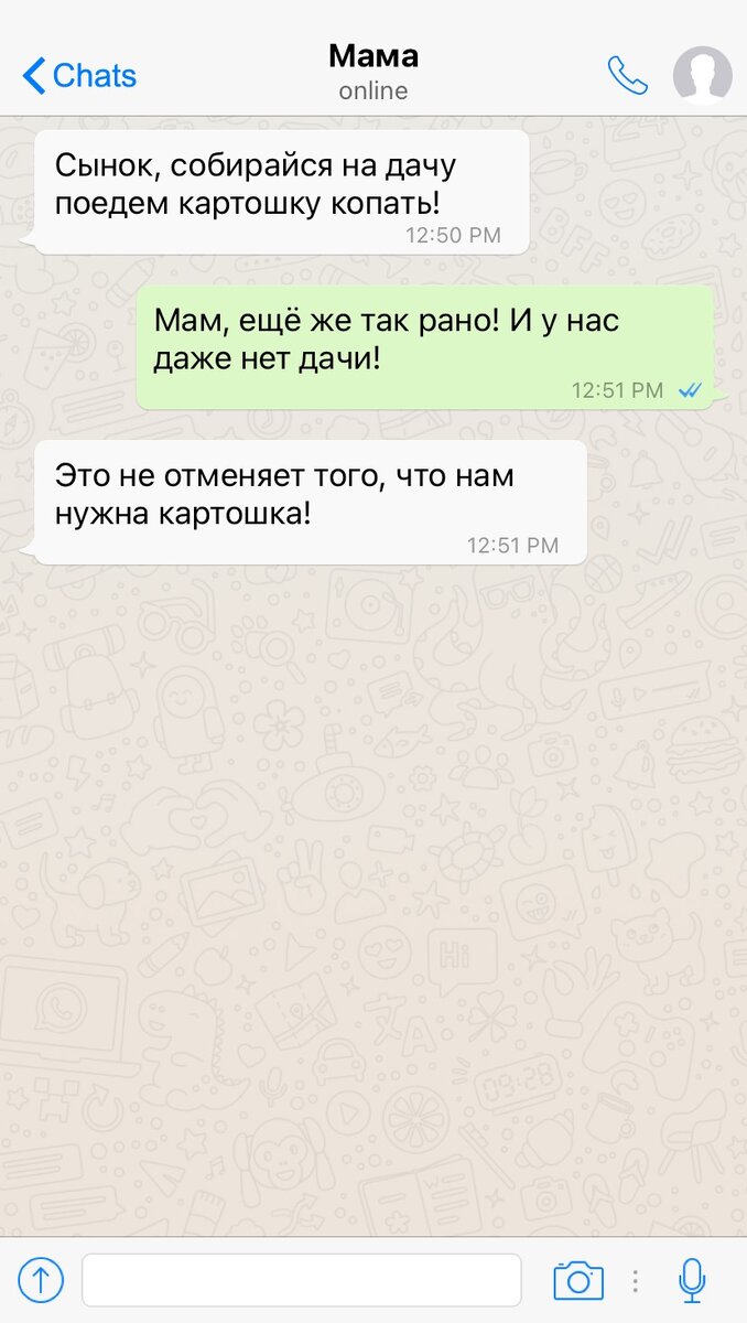 Введите запрос