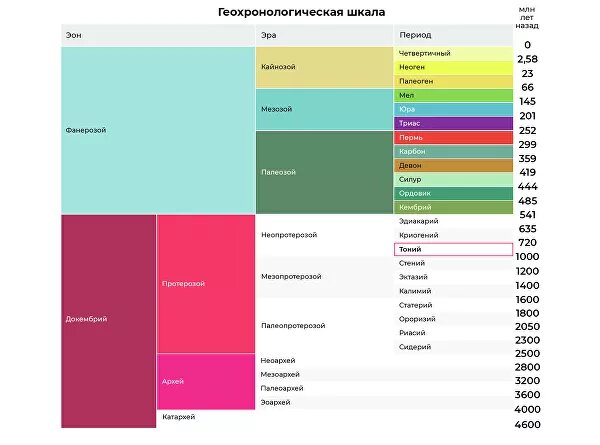 Геохронологическая шкала. Красной рамкой выделен период тоний, к которому Элизабет Тернер относит древнейшую губку возрастом 890 миллионов лет. Однако большинство палеонтологов сегодня даже не допускают существования наших многоклеточных предков в это время.