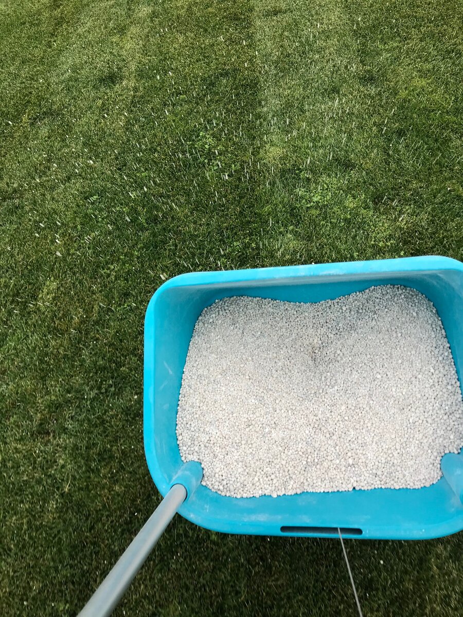 внесение смесевого удобрения с помощью сеялки