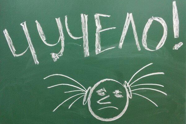 Дети обзываются! Что делать??