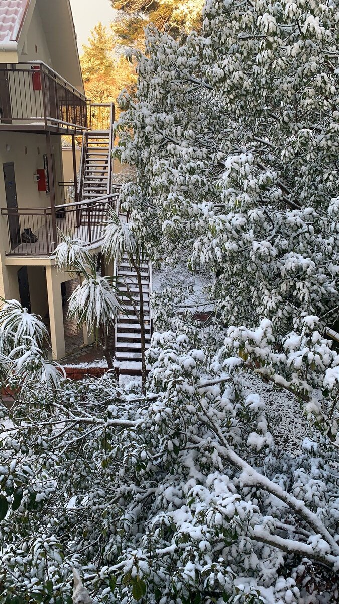 Сочи завалило снегом