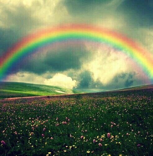 Картинка из интернета!