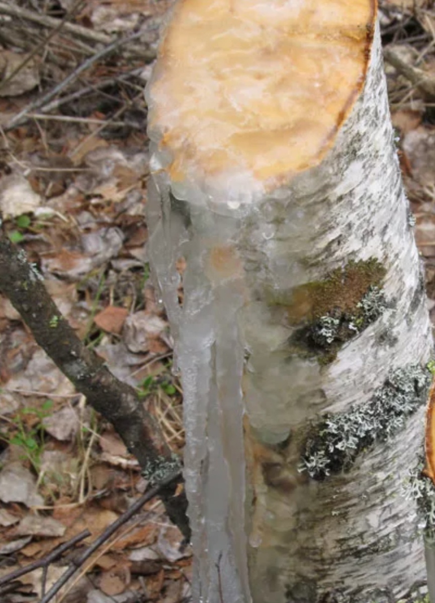 Замерзший сок