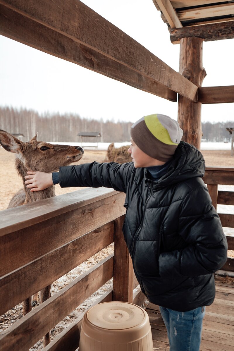 Фото - пресс-служба АНО "ЦРСИиД "БАРС" при копирование фотографии указывайте ссылку на ресурс обязательна.