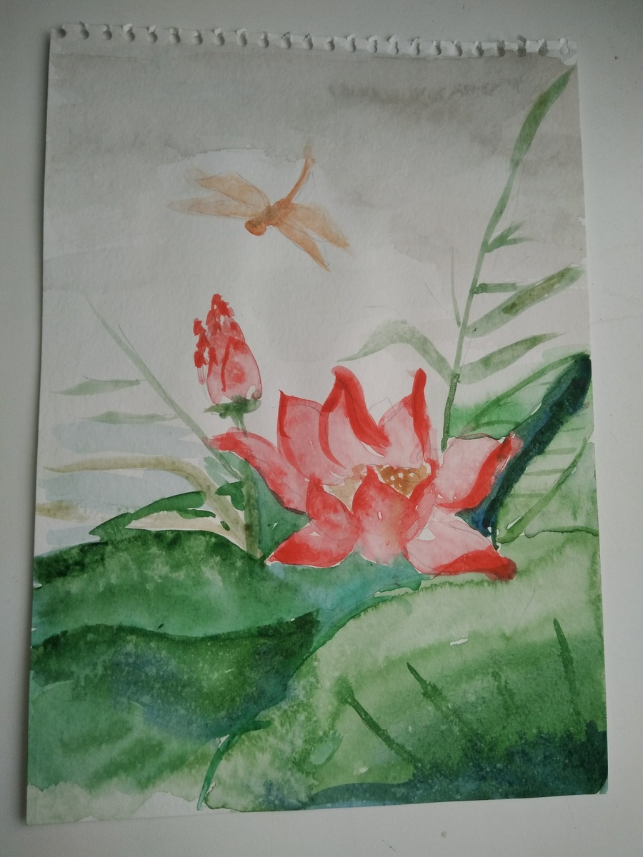 Фото Солей.