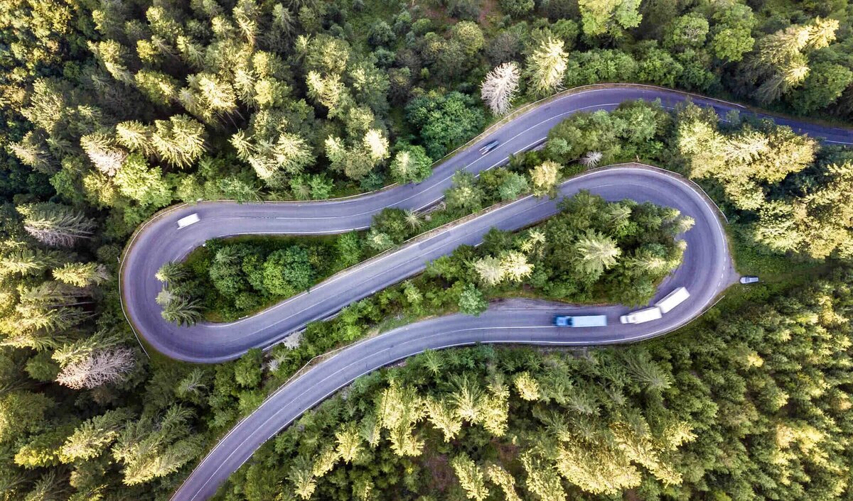 Фото: shutterstock.com