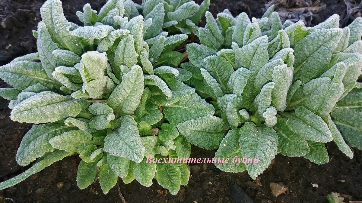 Из личного архива автора канала