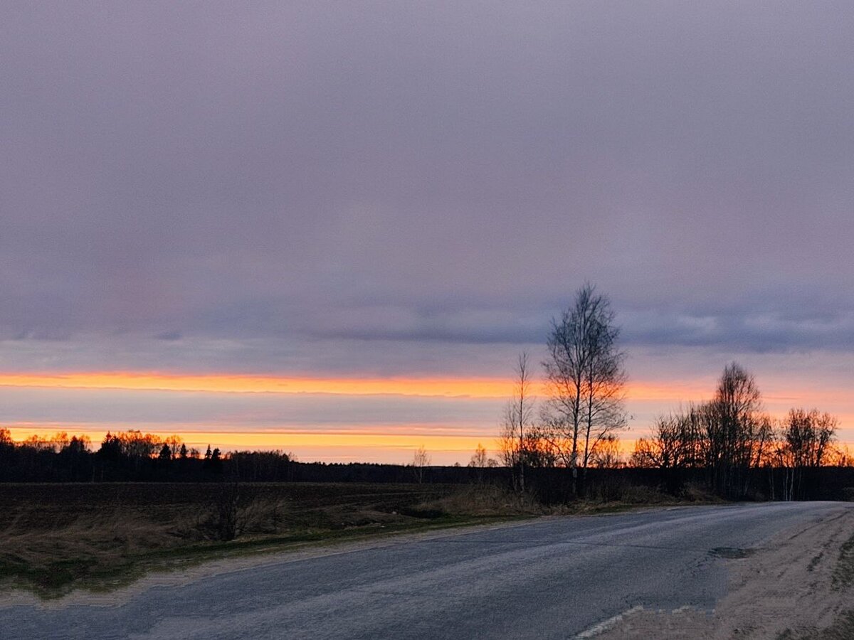 #наша ярославия #наши бродилки 