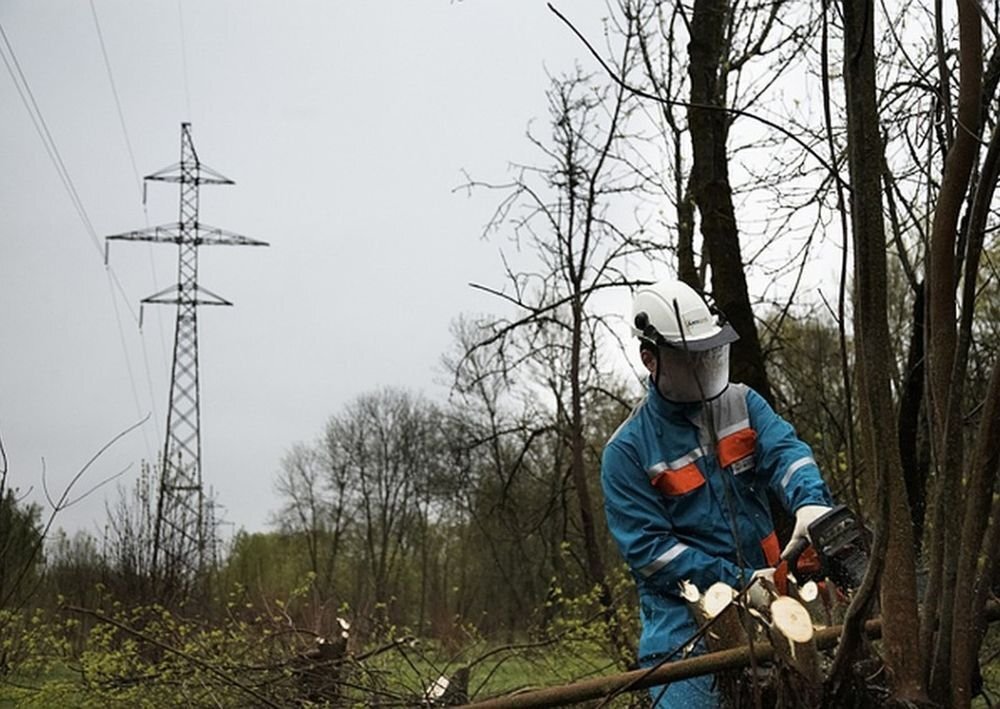 Вырубка зеленых насаждений при прокладке ЛЭП. Источник: ecotec.spb.ru