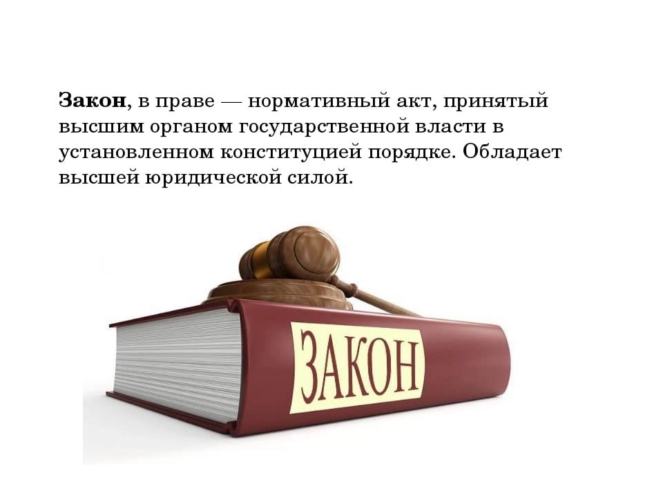 Польза закона. Закон. Право и закон. Закон картинки. Загон.