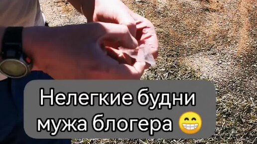 Сошел с орбиты блоггер дзен