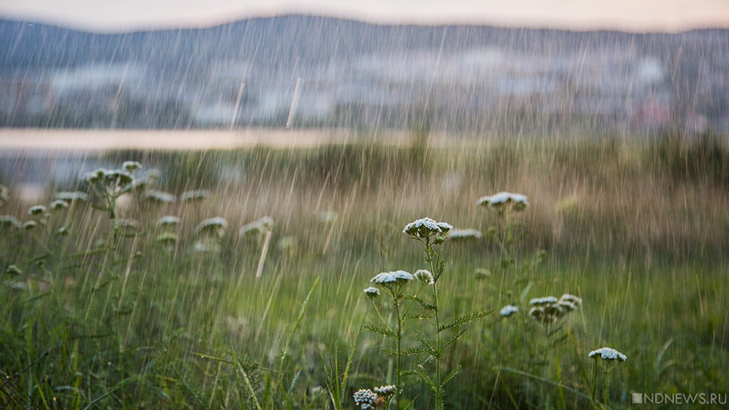 новотроицк природа. карта россии осадки. прогноз погоды карта осадков. средняя температура в челябинске. температура на март месяц.