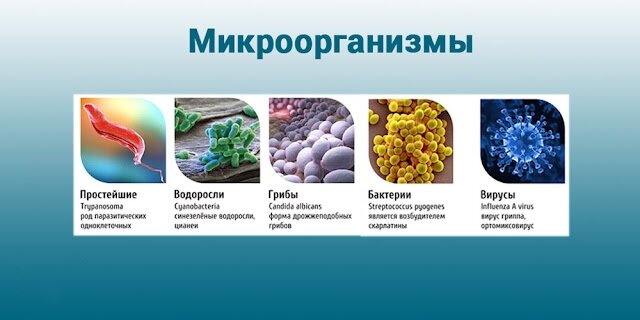          ,       -   ,    ...-10