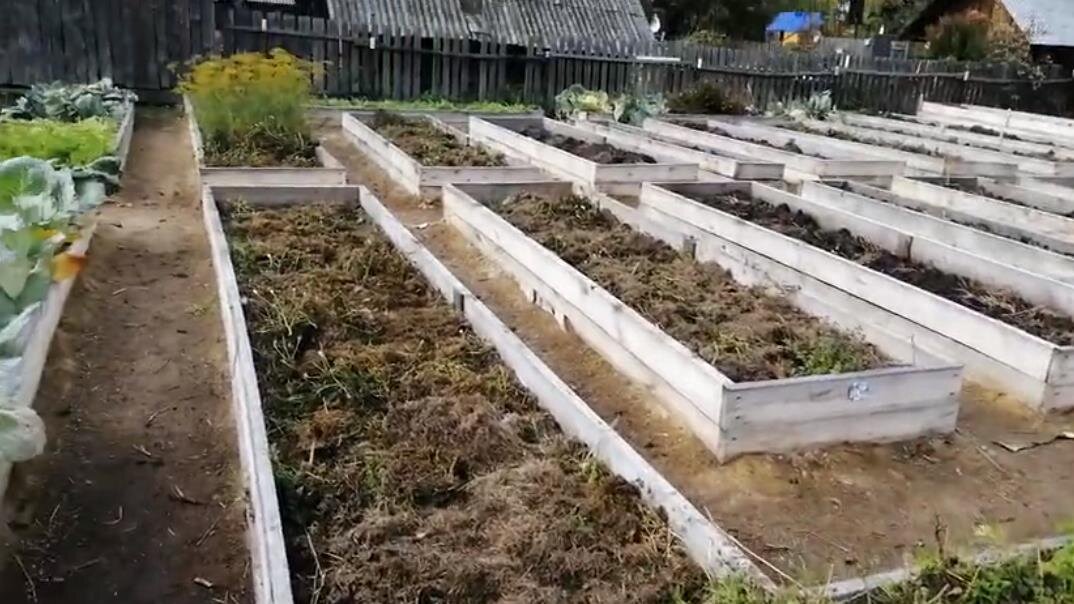 Ограждения для грядок из досок. Для придания им привлекательного вида их можно покрасить.