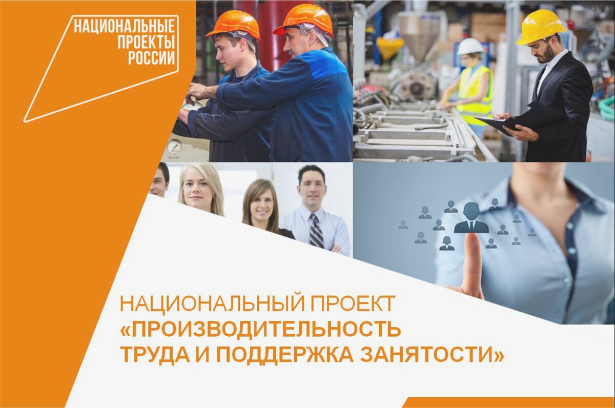 Участники национального проекта производительность труда и поддержка занятости