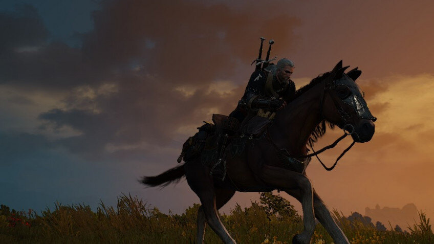    В новой игре серии «Ведьмак» может появиться кооператив