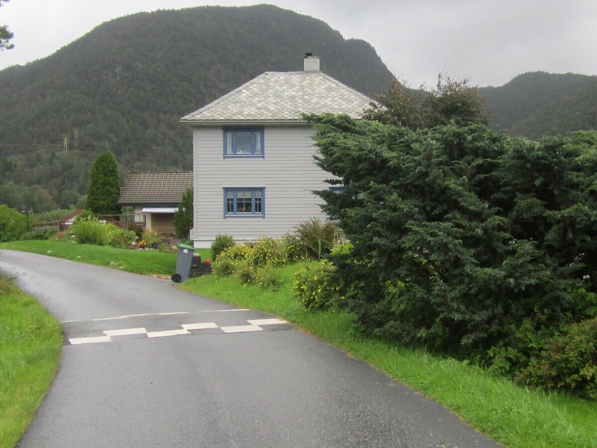   Дорога на ферму. Фото автора.