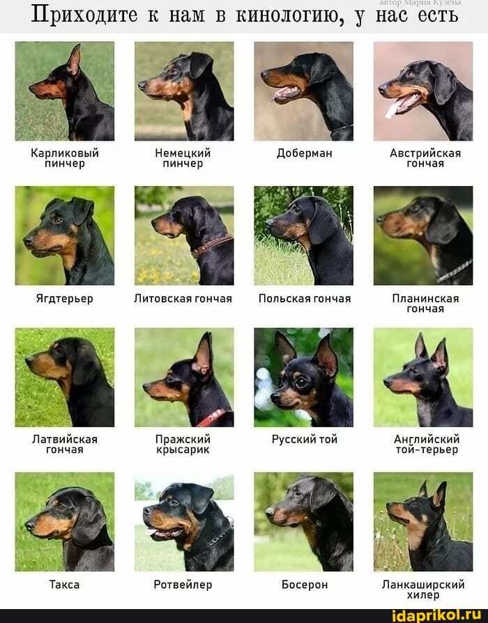 А вот здесь можно и повыбирать