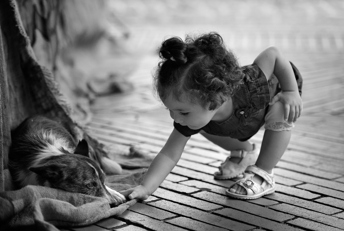 Скачано из инета