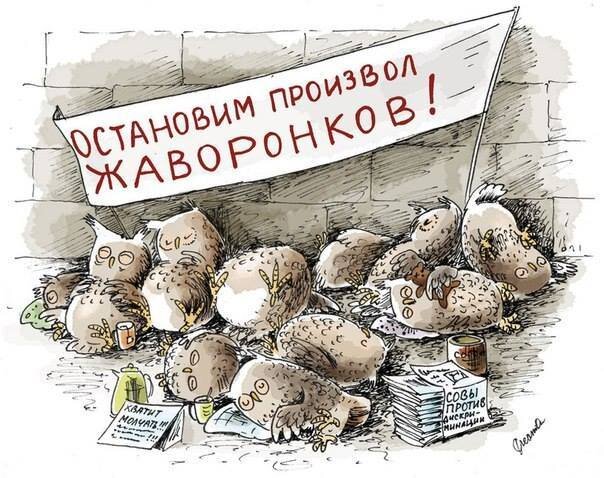 фото с просторов Интернета