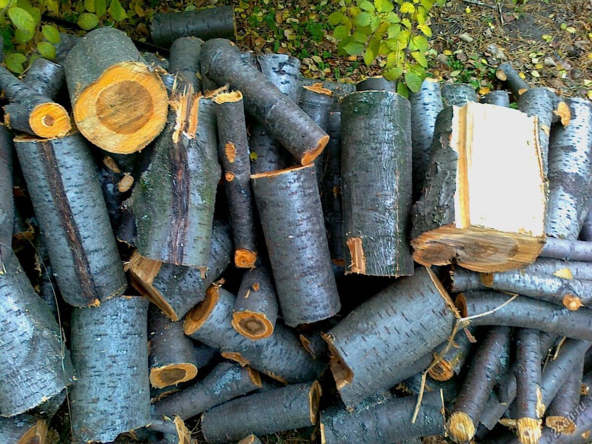 Дрова для копчения. Источник: яндекс картинки