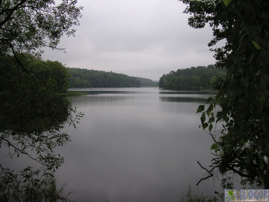 Река Вырка - водохранилище