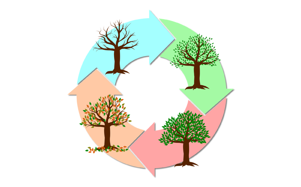 Жизнь есть цикл