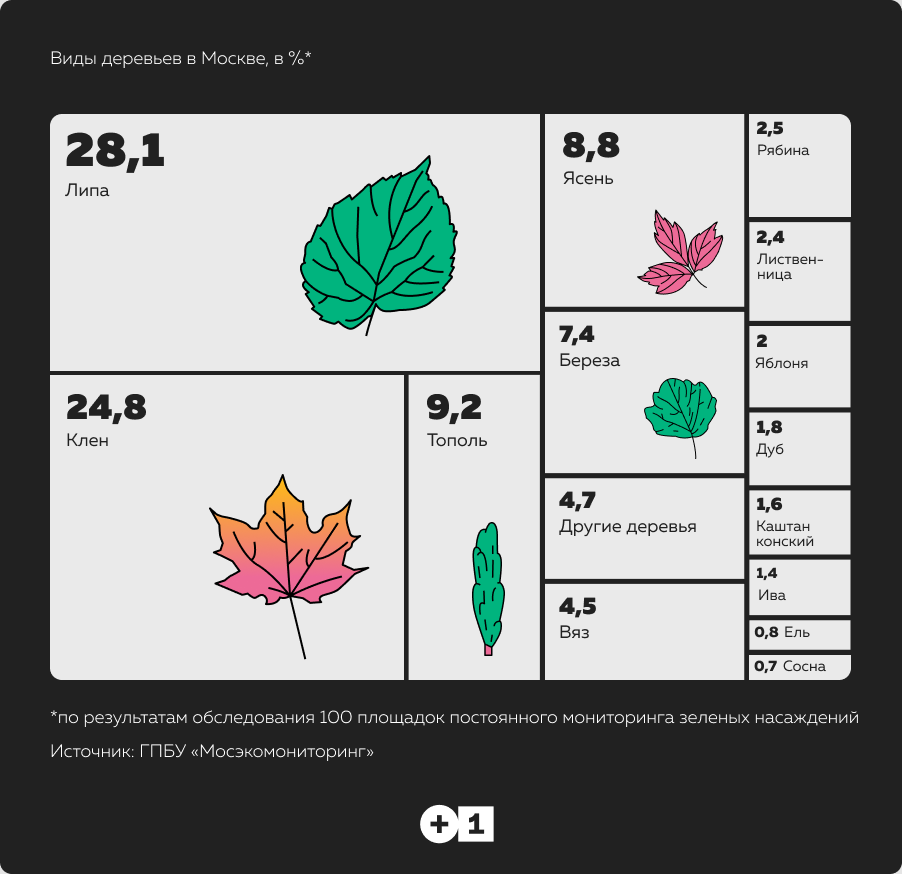 Инфографика: Юлия Дорофеева
