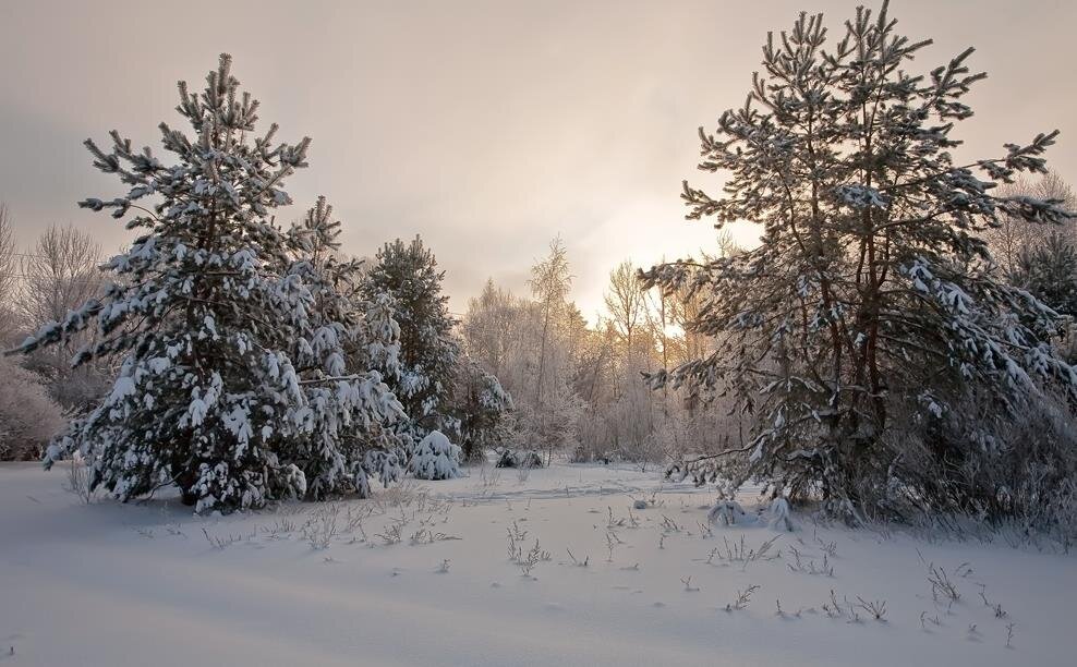 Фото — photosight.ru