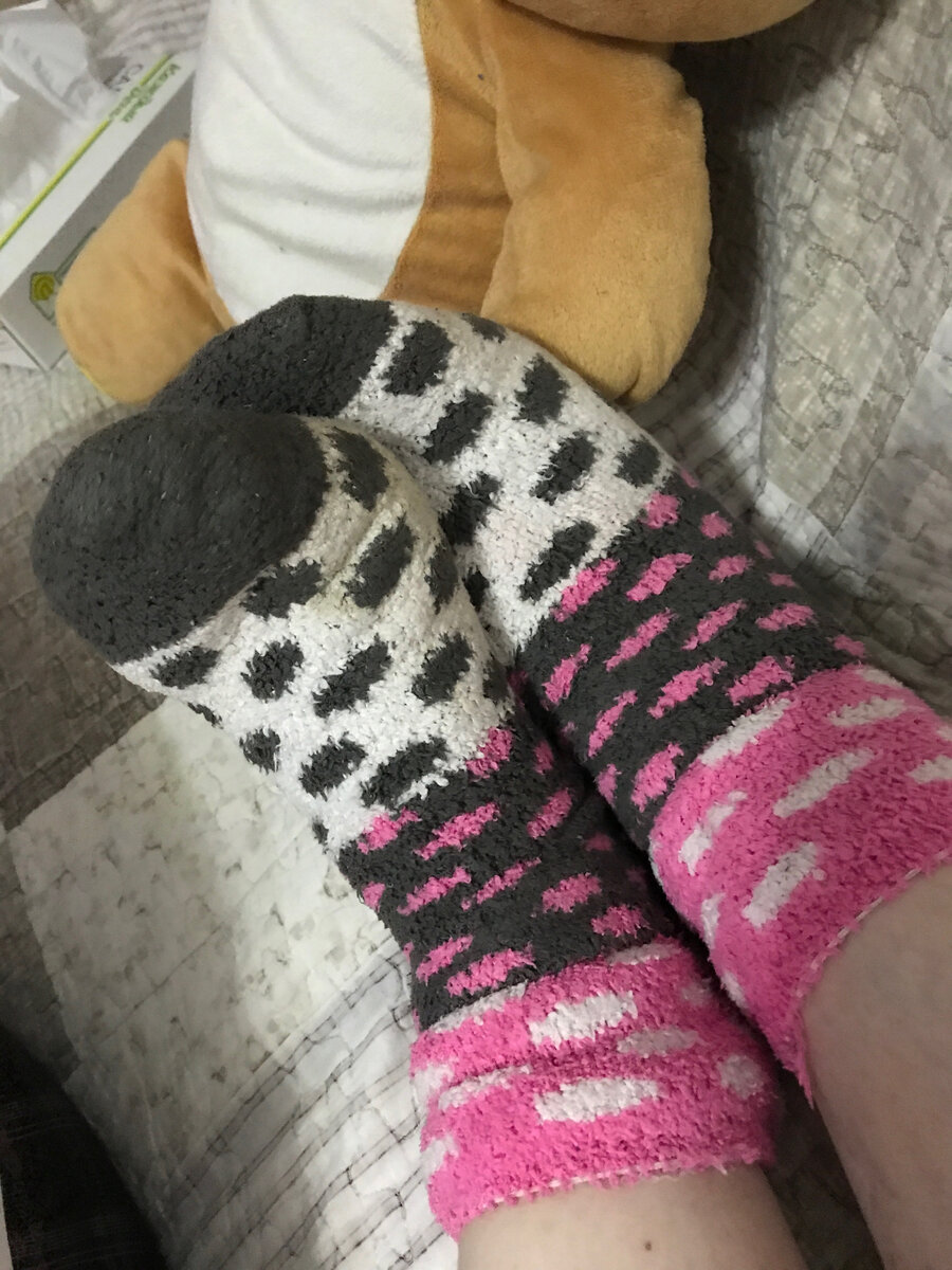 Оказывается, в махровых носках и под пледом может спокойно идти творческий процесс, а не только моральное разложение под сериальчик