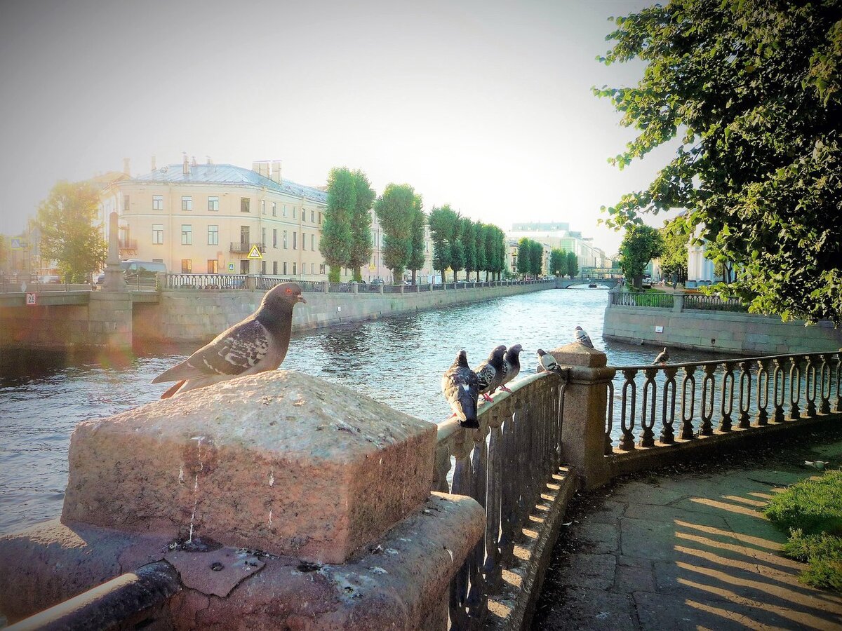 Фото автора.