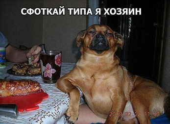 https://ok.ru/rzyne/topic/62384304024477