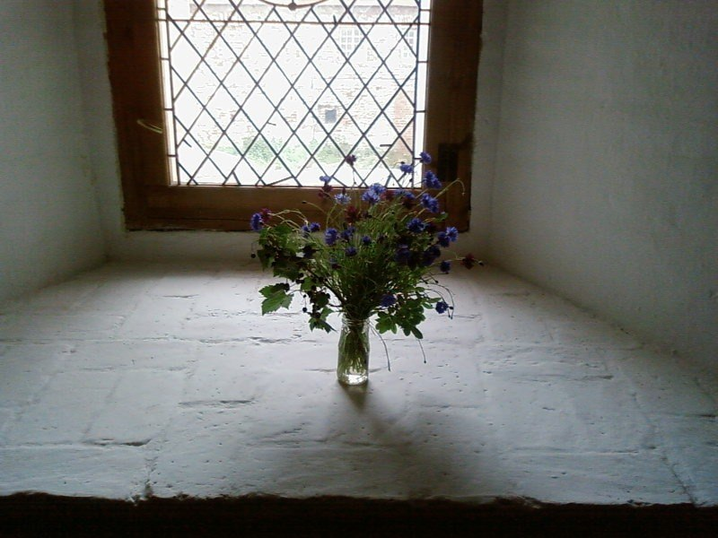 Цветы в монастыре.Фото моё.