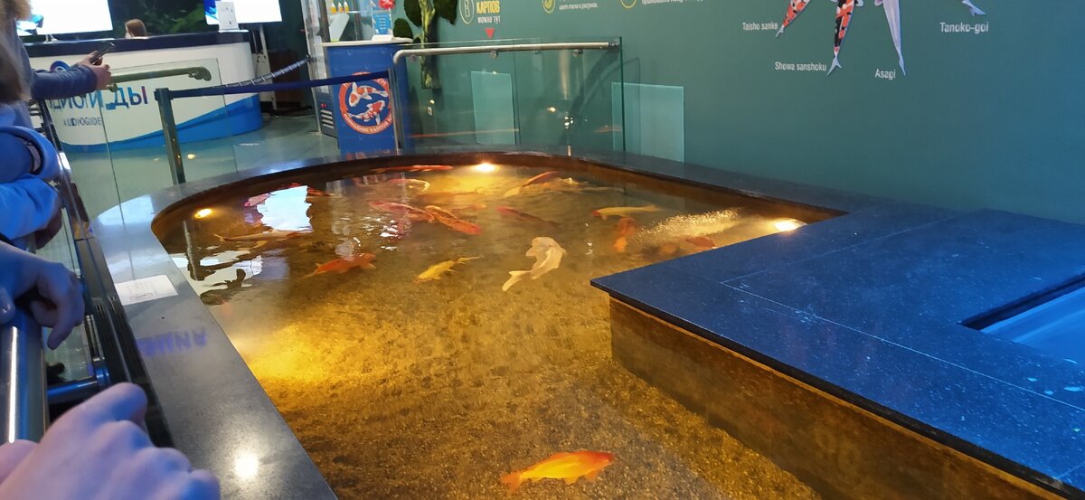 есть даже торговые автоматы на входе, рядом с бассейном с рыбками (фото автора)