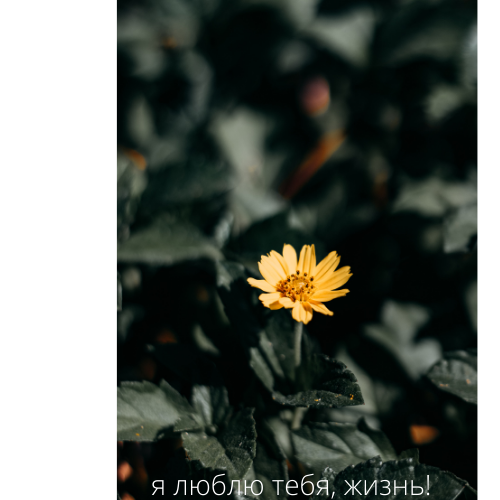 Я хочу тебя… Всего и полностью. Сразу и сейчас. Хочу н➤ MyBook