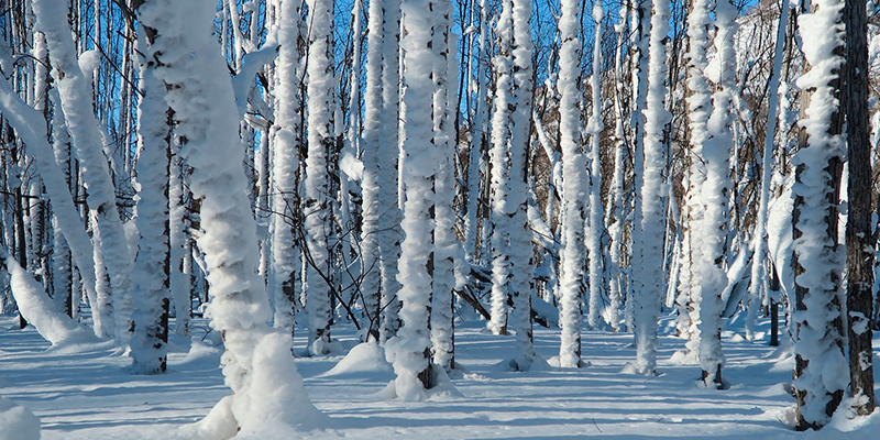 Замерзший снег. Изображение Наталья Коллегова с сайта Pixabay, Pixabay License