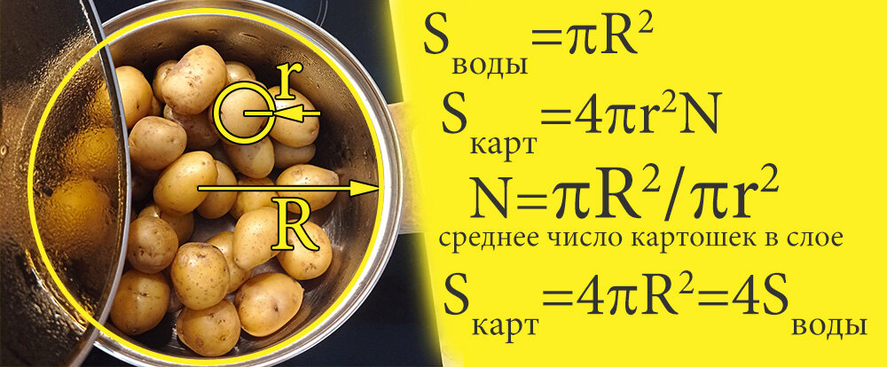 Простые расчеты площади картошки